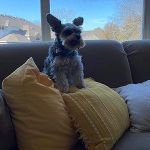 Meet your Posher, Celia